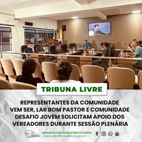 Representantes da comunidade Vem Ser, Lar Bom Pastor e Comunidade Desafio Jovem solicitam apoio dos vereadores durante sessão plenária