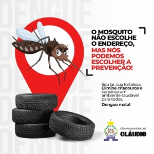 Ajude a combater a Dengue